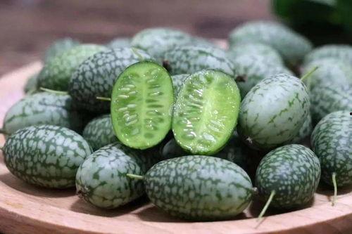 吃瓜群众的瓜指什么瓜,网络热词背后的文化现象