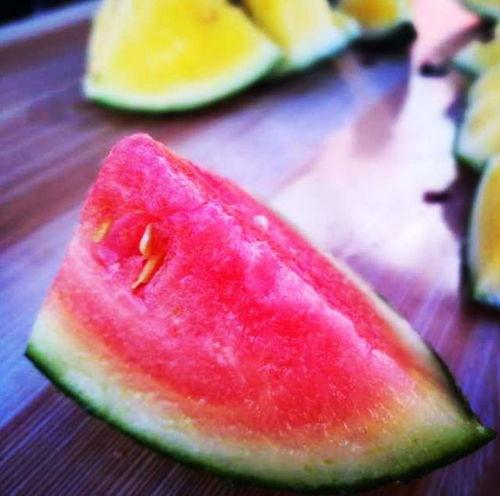 山东吃瓜事件最后喝药,最后喝药，真相令人唏嘘