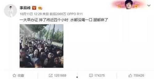 吃瓜群众的经历,揭秘吃瓜群众的真实经历