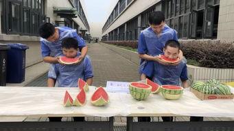 吃瓜群众观,吃瓜群众视角下的明星生活