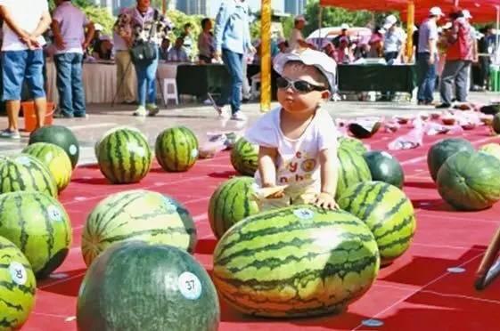 道具好友吃瓜大赛,好友吃瓜大赛，欢乐无限