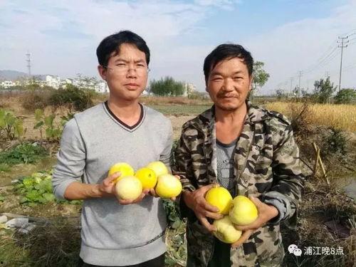 吃瓜群众越南,吃瓜群众的视角解读