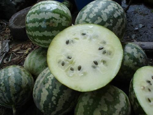 云南香米瓜怎么吃,云南香米瓜的多样食法探索