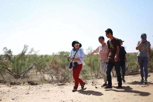 农村吃瓜歌曲,一曲乡野风情,唱响夏日欢乐