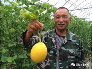 福利海外吃瓜,一场别开生面的吃瓜盛宴