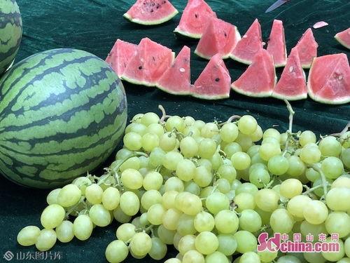 山东智博吃瓜,揭秘背后真相与网络舆论风暴