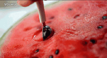 流产吃瓜可以吗,吃瓜群众如何理性看待网络热议