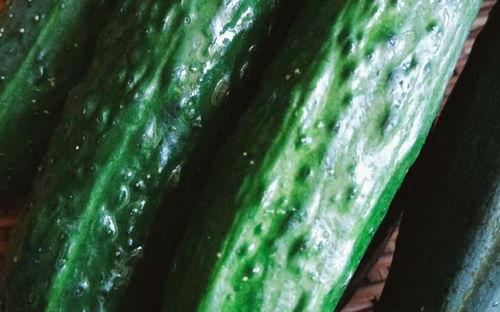 吃瓜系统瓜系统,网络时代的瓜田乐事