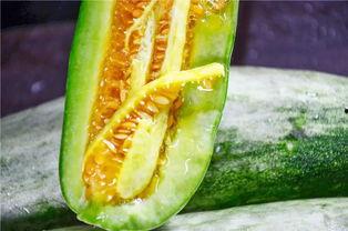 吃最脆的瓜,尽享瓜果盛宴