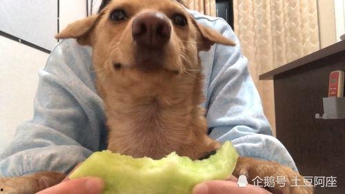 吧唧吧唧吃瓜,揭秘娱乐圈那些事儿