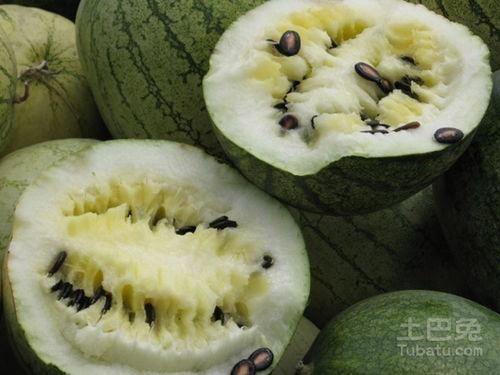 吃籽瓜肚子涨,揭秘籽瓜食用后的常见现象及应对策略