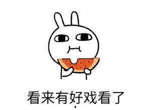 专注吃瓜的人,专注围观，乐享生活