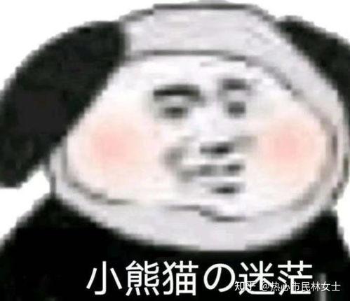 熊猫吃瓜挨打表情包,趣味横生的网络文化现象