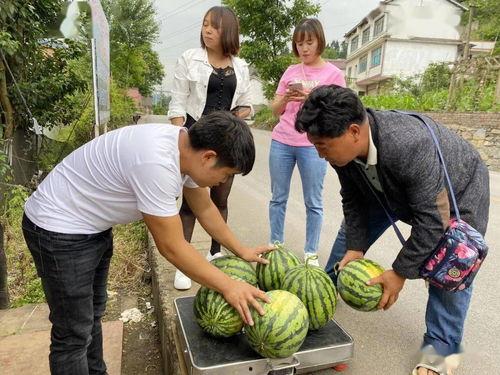 落染吃瓜,一场别开生面的夏日盛宴