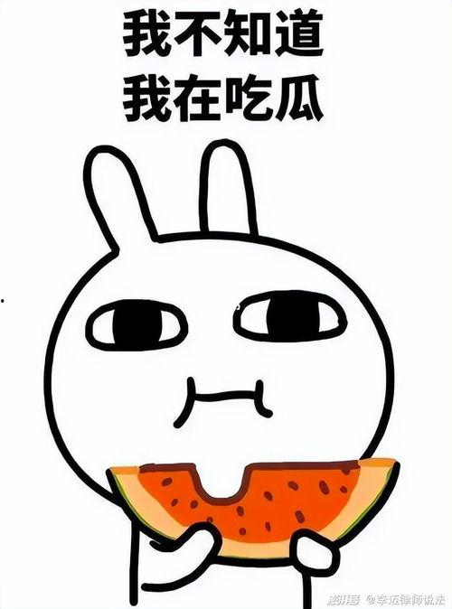 哑狗蛋在线吃瓜